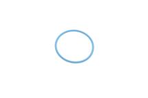 Прокладка насосу паливного Audi/VW/Ford/MB/Opel/Renault (31.5x2mm) Прокладка насосу паливного Audi/VW/Ford/MB/Opel/Renault (31.5x2mm)