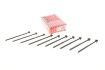 Болти головки (к-кт 10шт.) VW Caddy III 1.2 TSI 10-15