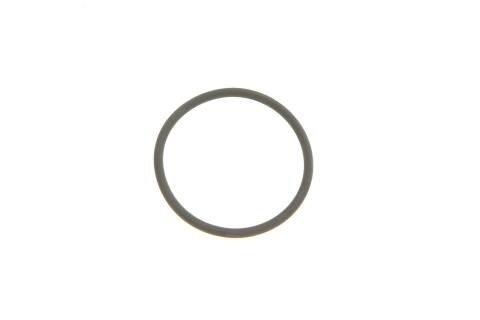 Прокладка ПНВТ ущільнююча MB Sprinter/Vito CDI (кільце)