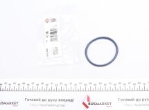 Прокладка колектора впускного Ford Transit 2.0TDCi/2.4TDCI 00-