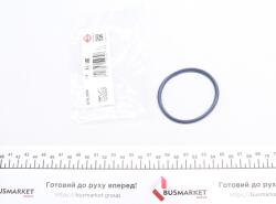 Прокладка колектора впускного Ford Transit 2.0TDCi/2.4TDCI 00-
