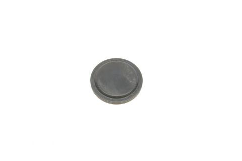 Заглушка фланца АКПП Audi A4/A6/VW Bora/Golf/Passat -05 (d=40mm) Заглушка фланца АКПП Audi A4/A6/VW Bora/Golf/Passat -05 (d=40mm)