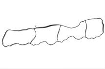 Прокладка впускного коллектора MB Sprinter 2.2CDI OM651 Прокладка впускного коллектора MB Sprinter 2.2CDI OM651