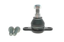 Опора кульова (передня/знизу) VW T5/T6 03- (к-кт)