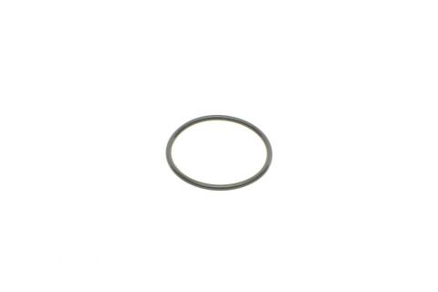 Ремкомплект суппорта (заднего) VW Passat 05-10 (d=41mm)(+поршень/направляющая)(Trw)