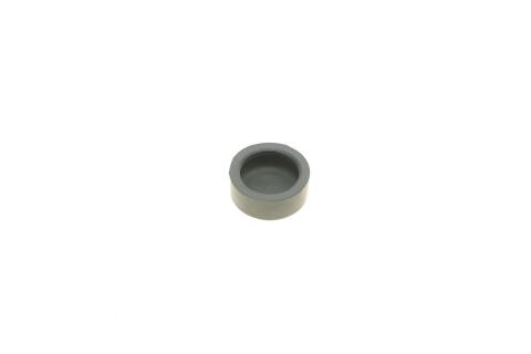 Ремкомплект супорта (переднього) Fiat Ducato/Citroen Jumper 06- (d=46mm)(Brembo)(+2 поршня/направля) Ремкомплект супорта (переднього) Fiat Ducato/Citroen Jumper 06- (d=46mm)(Brembo)(+2 поршня/направля)