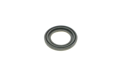 Ремкомплект супорта (переднього) Fiat Ducato/Citroen Jumper 06- (d=46mm)(Brembo)(+2 поршня/направля) Ремкомплект супорта (переднього) Fiat Ducato/Citroen Jumper 06- (d=46mm)(Brembo)(+2 поршня/направля)