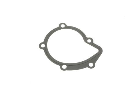 Помпа води Citroen C4-C8/Jumpy 2.0-2.2HDi/Fiat Scudo 2.0D/Ford Focus 2.0TDCI 01- (19z)(B/B)(8лоп)