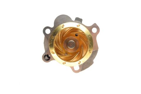 Комплект ГРМ + насос Skoda Octavia/VW Golf IV 96-10 (150x23)