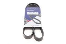 Ремінь генератора Ford Fiesta VI 08-