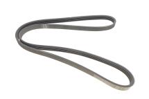 Ремінь генератора Renault Clio/Kangoo 1.4i/1.6 98-03 (4PK1237)