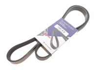 Ремінь генератора Citroen Berlingo/Fiat Scudo/Peugeot Partner 1.9D 98- (6PK1387)