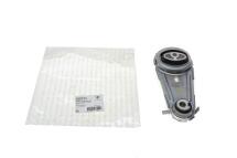 Подушка двигуна (нижня) Renault Megane III 1.2 TCe 10- (косточка)