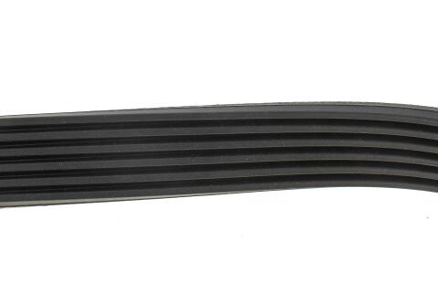 Ремінь генератора Fiat Scudo 1.9D 98-06 (6PK864) Ремінь генератора Fiat Scudo 1.9D 98-06 (6PK864)