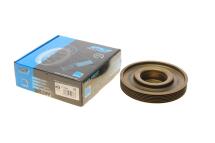 Шкив коленвала Renault Megane/Kangoo/Clio 1.5 dCi 08-/05- (6PK)