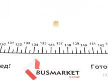 Заглушка блоку циліндрів (d=8mm) Латунь/Brass