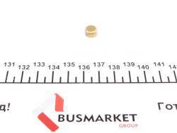 Заглушка блоку циліндрів (d=9mm) Латунь/Brass