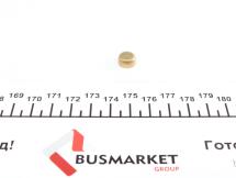 Заглушка блоку циліндрів (d=10mm) Латунь/Brass Заглушка блоку циліндрів (d=10mm) Латунь/Brass