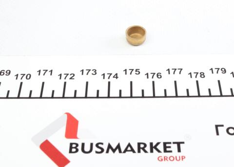 Заглушка блоку циліндрів (d=10mm) Латунь/Brass Заглушка блоку циліндрів (d=10mm) Латунь/Brass