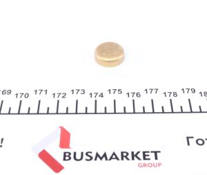 Заглушка блоку циліндрів (d=17,4mm) Латунь/Brass