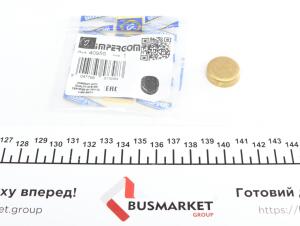 Заглушка блоку циліндрів (d=22,2mm) Латунь/Brass