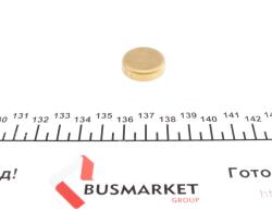 Заглушка блока цилиндров (d=23mm) Латунь/Brass