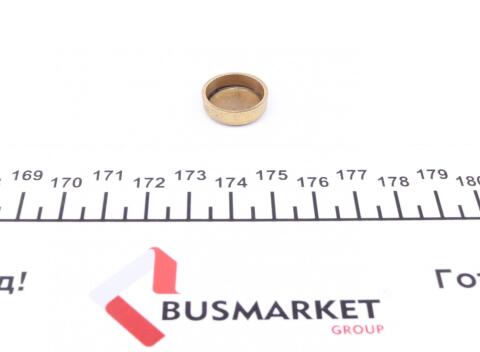 Заглушка блоку циліндрів (d=17,4mm) Латунь/Brass Заглушка блоку циліндрів (d=17,4mm) Латунь/Brass