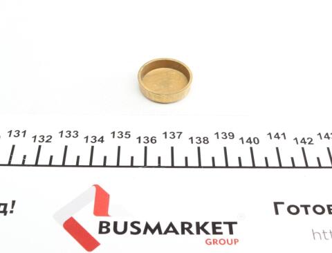 Заглушка блоку циліндрів (d=22,2mm) Латунь/Brass Заглушка блоку циліндрів (d=22,2mm) Латунь/Brass