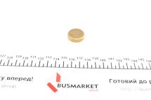 Заглушка блоку циліндрів (d=24,3mm) Латунь/Brass