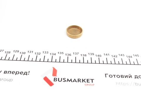 Заглушка блоку циліндрів (d=24,3mm) Латунь/Brass