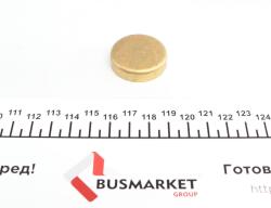 Заглушка блока цилиндров (d=32,6mm) Латунь/Brass