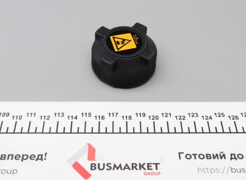 Бачок розширювальний Citroen Jumper/Peugeot Boxer 94- (з кришкою)