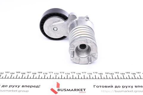 Натяжник ремня генератора Ford Kuga 2.5/Volvo C70 06- (F-556595.01)