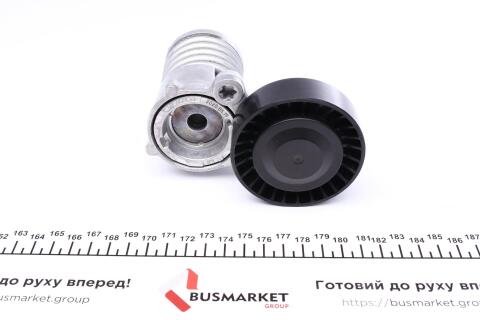 Натяжник ремня генератора Ford Kuga 2.5/Volvo C70 06- (F-556595.01)