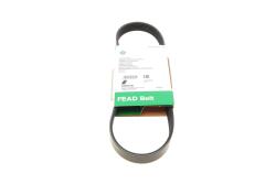 Ремень генератора Citroen Berlingo/Fiat Ducato/Peugeot Boxer/Expert 1.9 D/TD 96-03 (6PK730) Ремень генератора Citroen Berlingo/Fiat Ducato/Peugeot Boxer/Expert 1.9 D/TD 96-03 (6PK730)