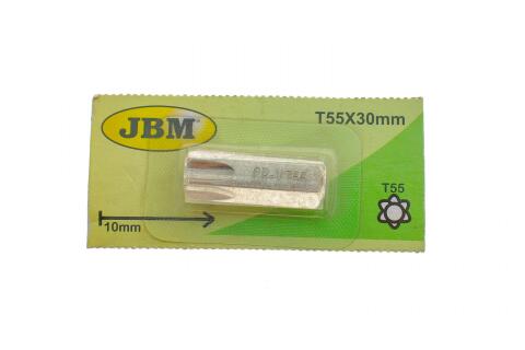 Бита Torx TP (M10xT55mm)