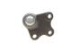 Опора шаровая (передняя/снизу/L) Audi A1 10-/Seat Ibiza 02-15/Skoda Fabia 99-14/Rapid 12-/VW Polo 01, фото 3 - интернет-магазин Auto-Mechanic