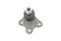 Опора кульова (передня/знизу/R) Audi A1 10-/Seat Ibiza 02-15/Skoda Fabia 99-14/Rapid 12-/VW Polo 01, фото 6 - интернет-магазин Auto-Mechanic