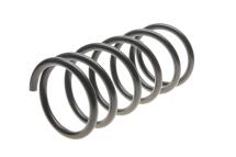 Пружина (передня) Fiat Ducato 2.0/2.0JTD/2.3JTD/2.8JTD 02- (1.5t) (з борт.пл/фургон/автобус)