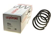 Пружина (передняя) Ford C-Max 1.6 07-10 (вен)