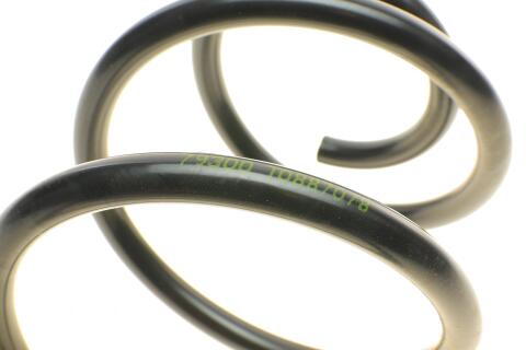 Пружина (передняя) Ford C-Max 1.6 07-10 (вен)