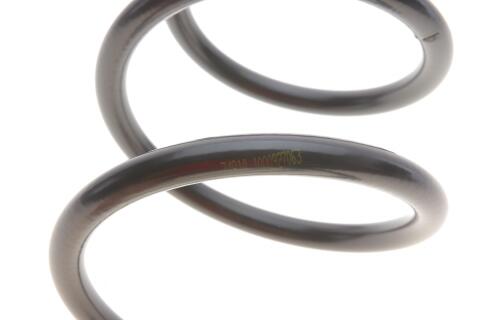 Пружина (передня) Opel Combo/Corsa C 1.3-1.7CDTI/DI/DTI 16V 01- (вен не для підвищ.нагр./фургон)