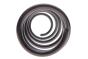 Пружина (передня) Renault Kangoo 1.5dCi/1.6/1.6 16V 08- (вен/фургон) (осн:Kangoo/ExpressMaxi/Grand), фото 3 - интернет-магазин Auto-Mechanic