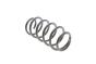 Пружина (передня) VW Caddy III 1.9TDI/2.0TDI 04-15 (фургон/вен), фото 3 - интернет-магазин Auto-Mechanic