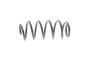 Пружина (передня) VW Caddy III 1.9TDI/2.0TDI 04-15 (фургон/вен), фото 4 - интернет-магазин Auto-Mechanic