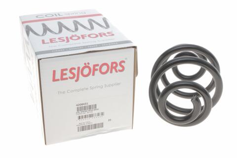 Пружина (задня) BMW 3 (E46) 316i/318d/i/320d/i/323i/325i/xi/328i/330d 98-06 (седан/купе)(з пост.д)