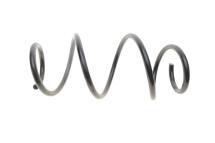 Пружина (задняя) Dacia Dokker 1.2TCe/1.5dCi/1.6 12-(фургон)