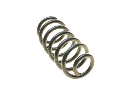 Пружина (задня) Renault Clio 0.9TCe/1.2TCe/1.5dCi 12- (фургон/універсал)