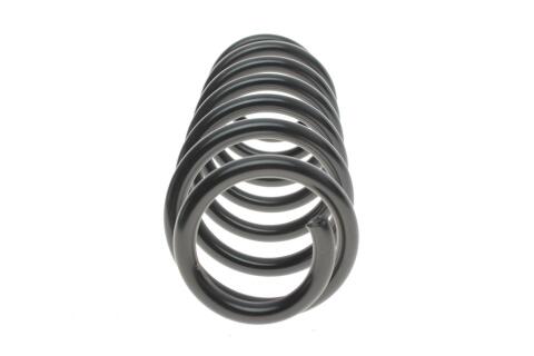 Пружина (задня) Skoda Fabia I/II Combi 1.2-2.0/1.4-1.9TDI/1.2TSI/1.9SDI 00-14 (універсал) (HD) Пружина (задня) Skoda Fabia I/II Combi 1.2-2.0/1.4-1.9TDI/1.2TSI/1.9SDI 00-14 (універсал) (HD)