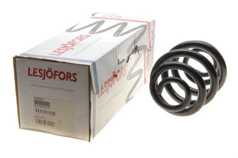 Пружина (задня) VW T5/T6/Multivan V/VI 1.9-2.0TDI/2.5TDI/3.2 V6 03- (фургон) (з непост.d)